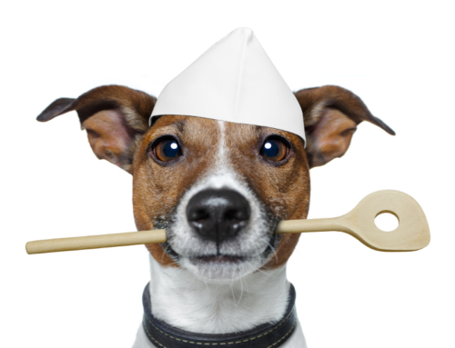 Il cuoco canino: come cucinare per il tuo cane piatti da urlo…anzi da ululo!